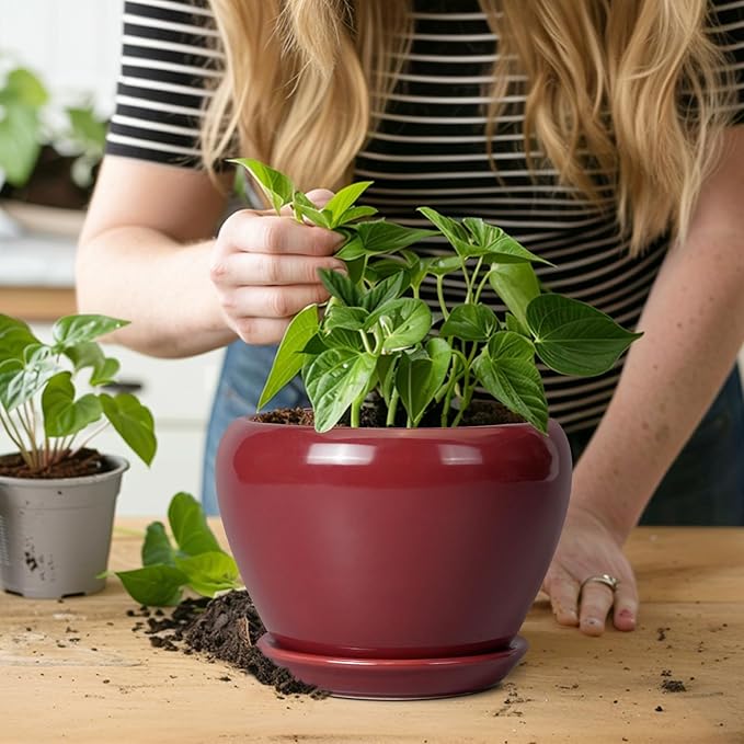 Ceramic Pot for Plants - 6 Inch Plant Pot Indoor with Drainage Hole and Saucer Succulent Outdoor Planter Round Flower Pot for House Patio Decor Red Ceramicfor