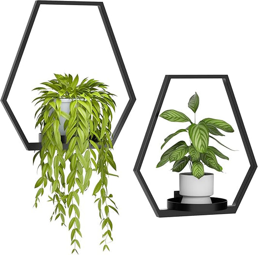Wall Planters for Indoor Plants, Plant Frames Wall Decor Living Room Plant Stand Hanging Wall Plants Holder to Hold Large Pots Wall Plant Hanger Window Plant Shelves for Outdoor Entryway DEMEGA