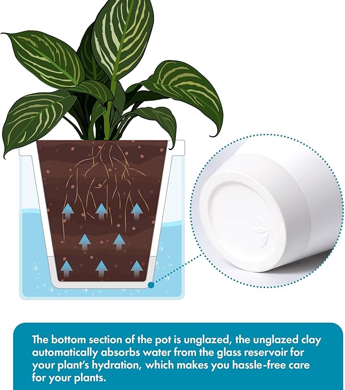 D'vine Dev 10 Inch Design Self Watering Planter for Indoor Plants, White Terracotta Pots with Cylinder Glass Cup, 37-X-D-2 DvineDevPlanterPotsandStand