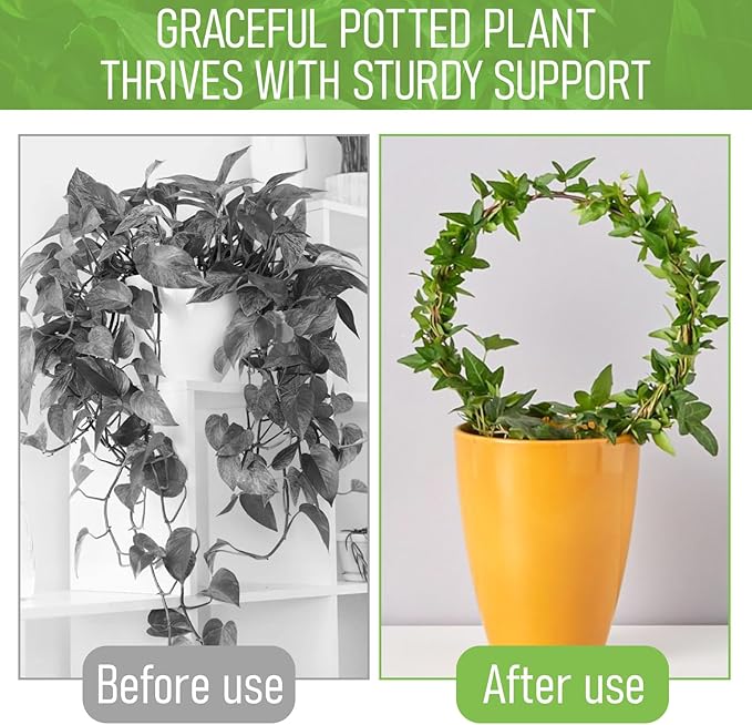 2 Pack Round Plant Trellis for Indoor Potted Plants, Acrylic Small Trellis for Climbing Plants Indoor Outdoor Plant Support for Hoya Pothos Vine Ivy Monstera Flower Philodendrons Dischidia Tyqour