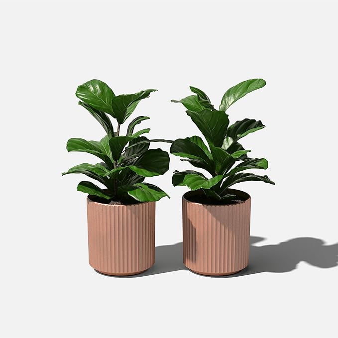 Veradek Demi Series Round Planter for Porch, Patio, Backyard | Durable Plastic-Stone Composite Material | Modern Décor for Tall Plants, Flowers VeradekOutdoor