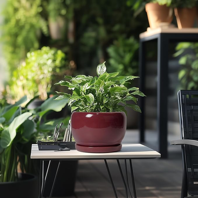 SQOWL Ceramic Planter - 8 Inch Plant Pot with Drainage Hole and Saucer, Round Planter for Indoor Outdoor Plants, Modern Decorative Flower Pots, Home Decor, Plant Lover Gifts, Red SQOWL