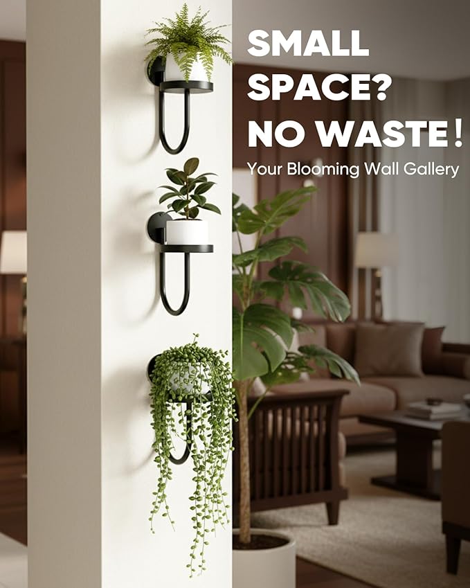 Wall Plant Holder – Hanging Planters for Indoor, Window Planter Shelves & Hanger, Indoor Wall Planters, Modern Plant Decor, Black (3 Pack) Rootora
