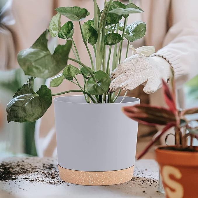 QCQHDU 8 inch Plant Pot, 2 Pack Planters for Indoor Plants with Drainage Holes & Saucer, Outdoor Flower Pots Home Garden Modern Decor QCQHDU