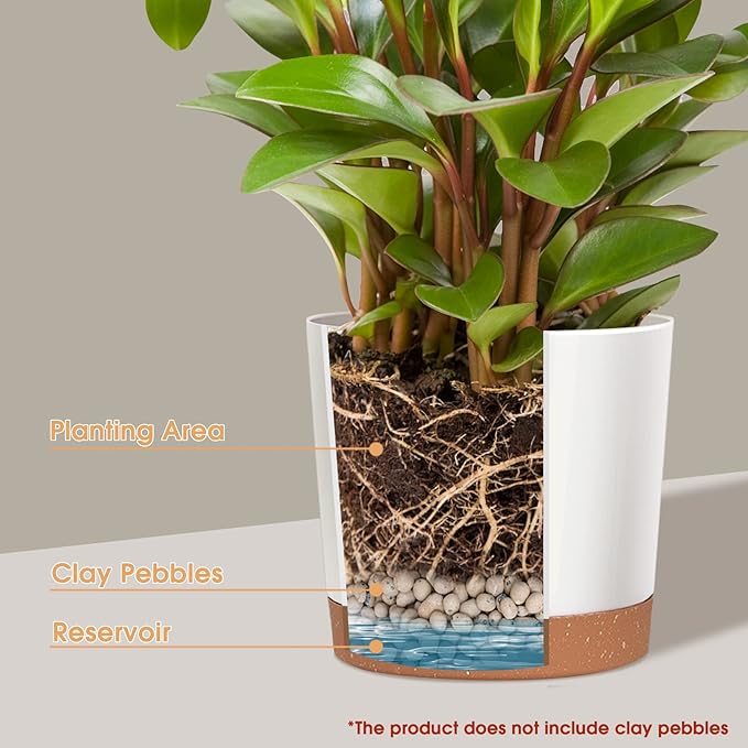 kubvici 2 Pack 8 Inch Planters for Indoor Plants, Plastic Flower Pots Plant Pots Indoor with Drainage Saucer for Outdoor Garden Home Plant, White 8” kubvici