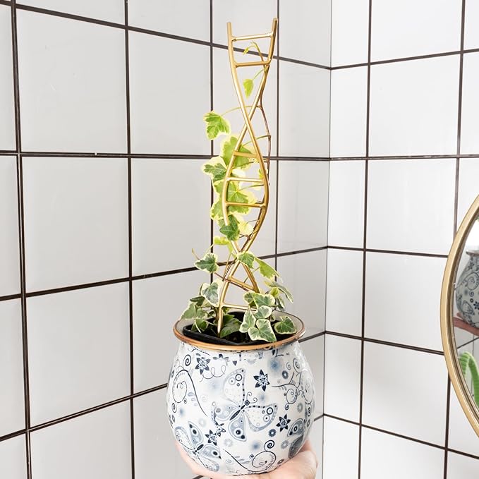 3PCS DNA Plant Trellis Indoor and Outdoor - Lightweight Metal Trellis for Potted Plants, Hoya & Pothos Climbing Support, Artistic Geometric Design, Durable & Easy Installation Yohsnor