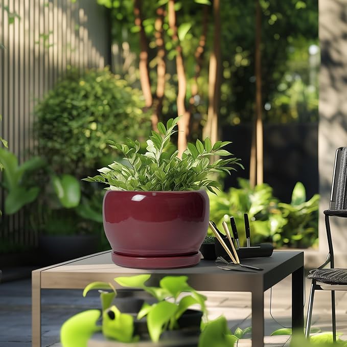 SQOWL Ceramic Pot for Plants - 10 Inch Indoor Planter with Drainage Hole and Saucer, Round Modern Planter Outdoor, Decorative Large Plant Pot for Flower, Living Room Decor, Garden Gifts, Red SQOWL