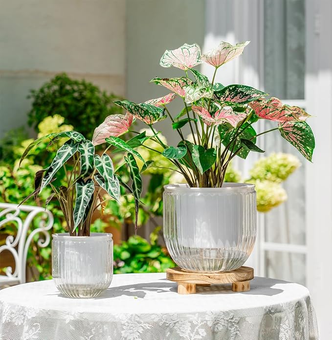 Melphoe Self Watering Pots for Indoor Plants Planter, 8.3/5.3 Inch 2 Pack Planters Self Watering Plant Pots for Flower, Houseplants, Succulent, African Violets and Cactus with Drainage Melphoe