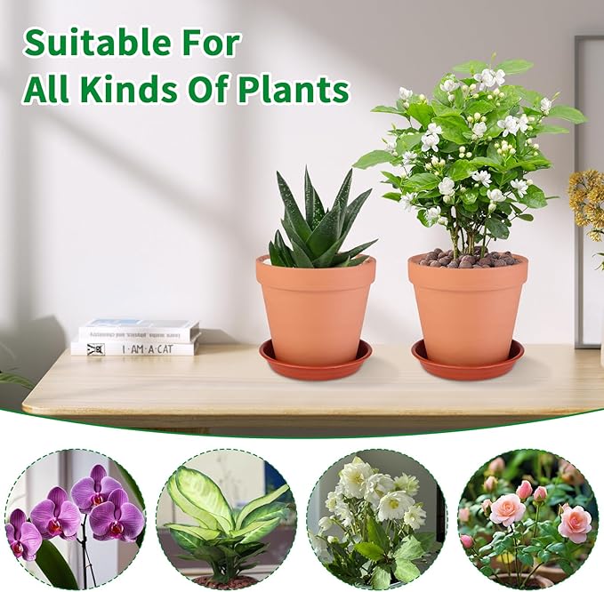 6 Pack 6 Inch Terracotta & Clay Pots with Saucer for Plants, Large Terra Cotta Plant Pot with Drainage Hole, Flowerpot for Indoor Outdoor Plants, Crafts, Wedding Favor Rootora