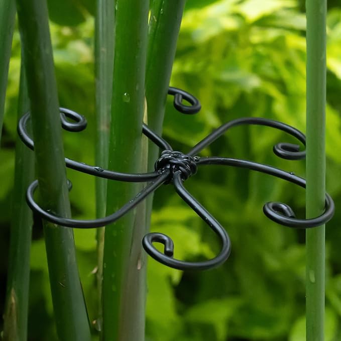 Monstera Plant Support Hook - 4.1x4.1IN 5PCS, Durable Adjustable Stem Support System, Gentle Protection for Monstera and Fishbone Cactus, Professional Indoor Plant Stabilizer Yohsnor