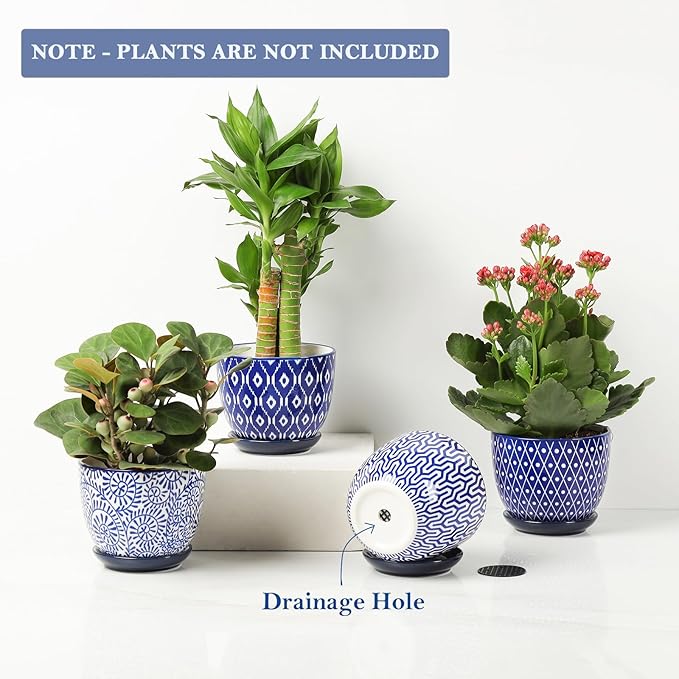 Selamica Ceramic Succulent Pots with Drainage Holes, Small Flower Pots 3.5 Inch Plant Pots for Indoor Plants with Saucers, Cactus Succulent, Home Decor, Set of 4, Vintage Blue Selamica
