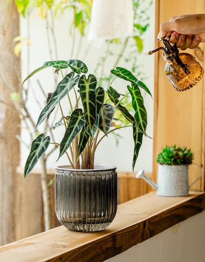 Melphoe Self Watering Pots for Indoor Plants Planter, 6.5/5.3 Inch 2 Pack Planters Self Watering Plant Pots for Flower, Houseplants, Succulent, African Violets and Cactus with Drainage Melphoe