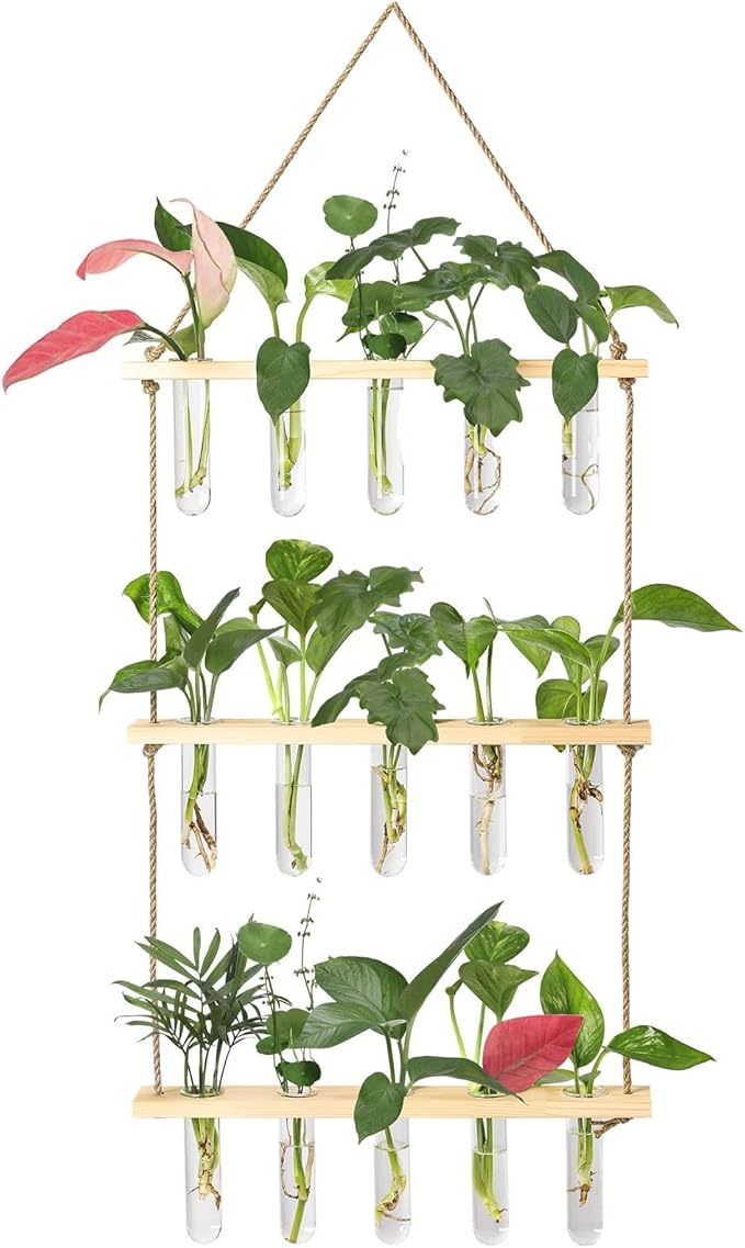 XXXFLOWER Wall Hanging Propagation Station with Wooden Stand 5 Glass Test Tubes 3 Tiers Planters Wall Terrarium for Home Office Plant Hanger Flower Vases Wall Decor Hydroponic Cuttings XXXFLOWER