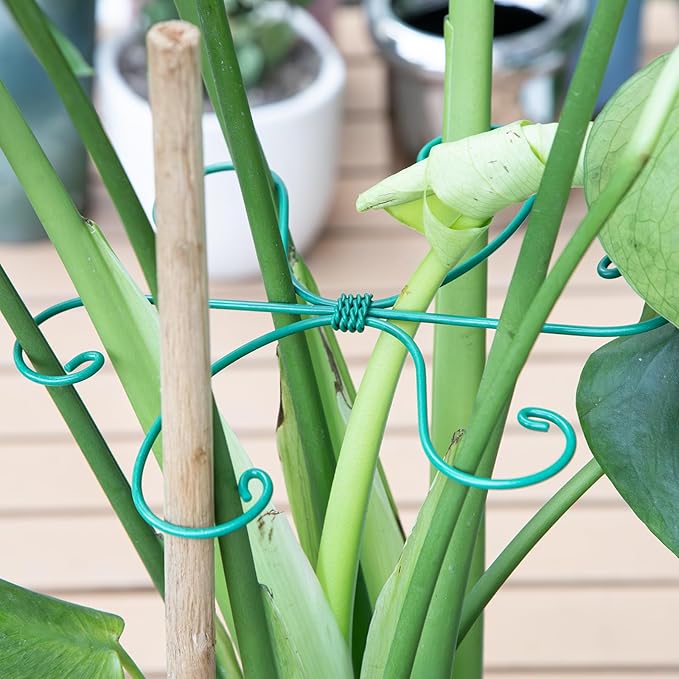 Monstera Plant Stem Support 5 Pcs - 7.5” Indoor Plant Stabilizer Holder for Monstera & Climbing Plants - Durable, Lightweight, Easy to Use for Optimal Growth & Stability - Home Décor Friendly Yohsnor