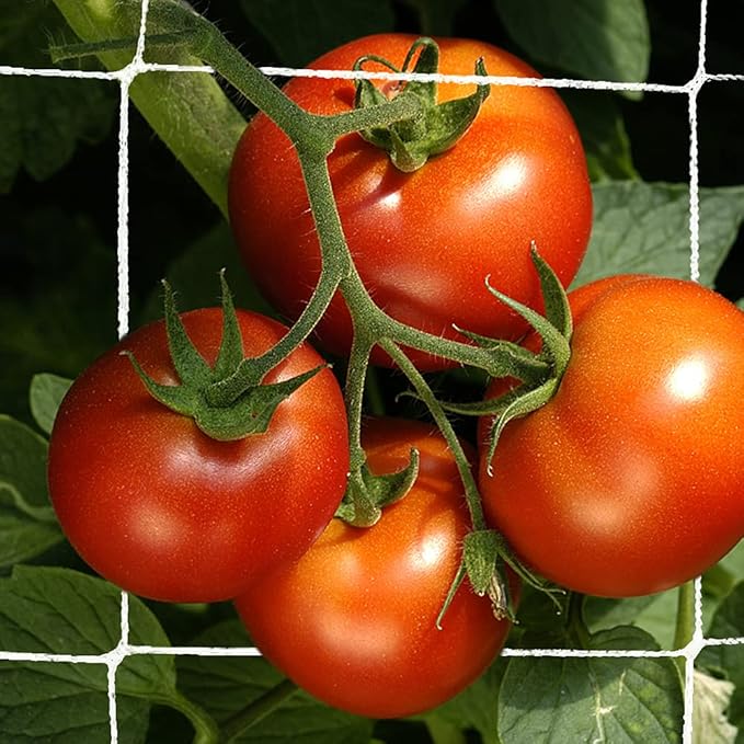 Trellis Netting, CANAGROW Heavy-Duty Garden Plant Trellis Netting for Climbing Plants, Outdoor Indoor Grow Net for Beans Tomatoes Peas Pumpkin Flowers, 6x15ft, Pack of 2 CANAGROW