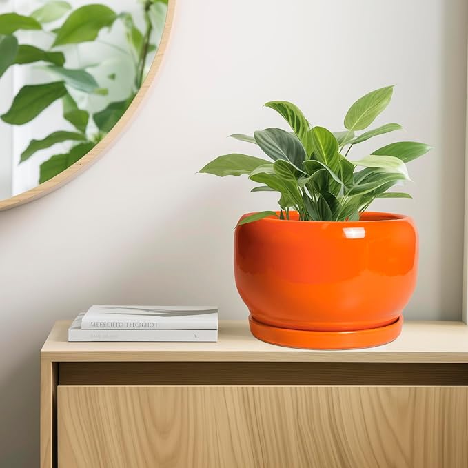 SQOWL Ceramic Planter - 10 Inch Plant Pot with Drainage Hole and Saucer, Round Modern Planter for Indoor Outdoor Plants, Decorative Large Flower Pot, House Decor, Gifts for Women Men, Orange SQOWL