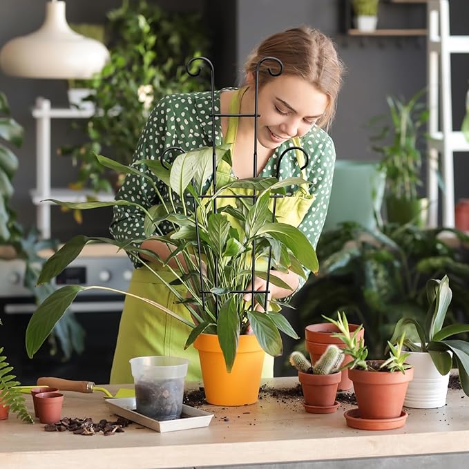 Coomin 23in Taller Plant Trellis for Climbing Plants Indoor, Sturdy Houseplant Trellis for Potted Plants with Ties, Vine Plant Support for Monstera Pothos Ivy, Plant Decor, 2P COOMIN