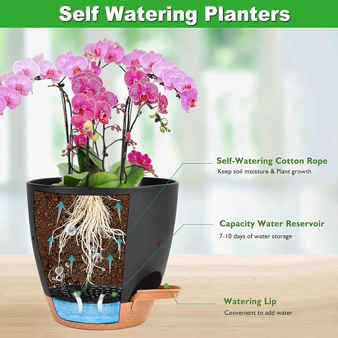 6 Inch Orchid Pots with Holes, 2 Pack Self Watering Planters for Orchids Plastic Orchid Pot Plant Flower Pots for Orchids Indoor Outdoor (Black with Brown) Vanslogreen