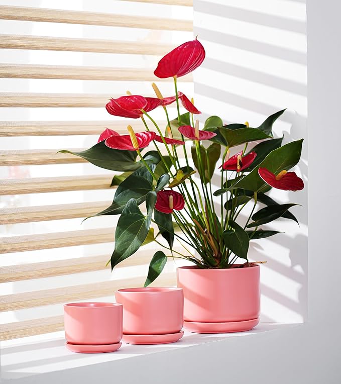 Ton Sin Ceramic Plant Pot with Drainage Hole and Saucer for Indoor Plants, Decorative Round Flower Pot for House Plants, Succulent Orchid Planter(Matte Orange) TonSin