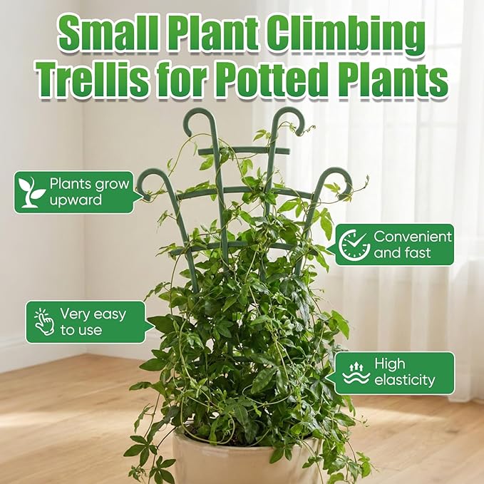 Plant Support Stakes,Stackable Plant Trellis for Indoor Climbing Plants,Small Plant Climbing Trellis for Potted Plants Plastic Climbing,Potted Plant Trellis for Houseplants (6PCS) Rootora