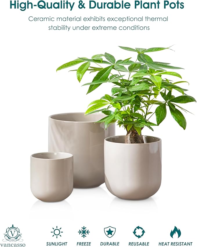 vancasso 6+8+10 inches Ceramic Plant Pots, Set of 3, Planters with Drainage Hole, Flower Pots Planters Pots for Indoor Plants, Modern Indoor Decorative Garden Pot, Home Decor, Gray vancasso