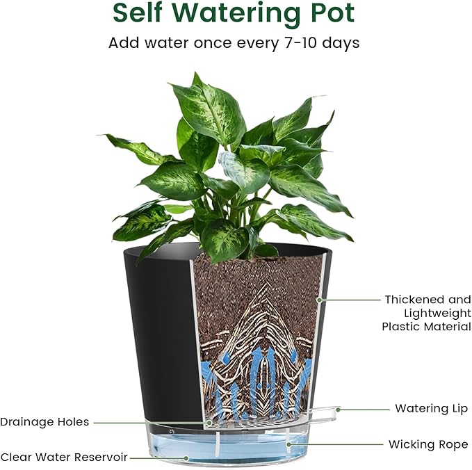 6 inch Self Watering Pots for Indoor Outdoor Plants, 6 Pack Flower Plant Pots with Drainage Holes and Clear Reservoirs, Visible Water Level, Plastic Planters with Wicking Rope, Black Meowell