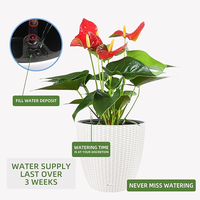Dexceder 15x14 Rattan Self Watering Planter with Wheels Indoor Outdoor, Inner Pot Design, Thickened Large Floor Standing Flower Plant Pot with Water Level Indicator (Ivory White) Dexceder