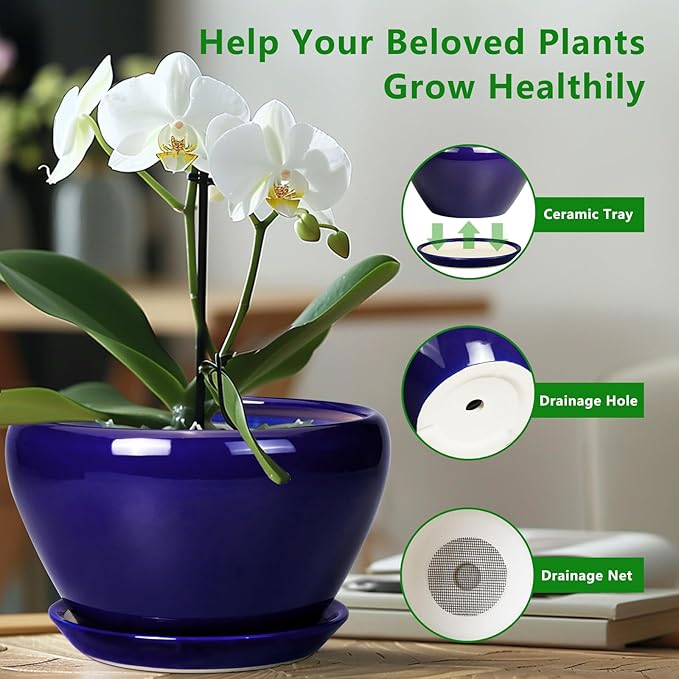 Ceramic Pot for Plants - 11 Inch Modern Round Indoor Planter with Drainage Hole and Planter Saucer for Flowers, Patio Office Home Room Decor, Gardening Gifts for Women & Men, Blue Ceramicfor