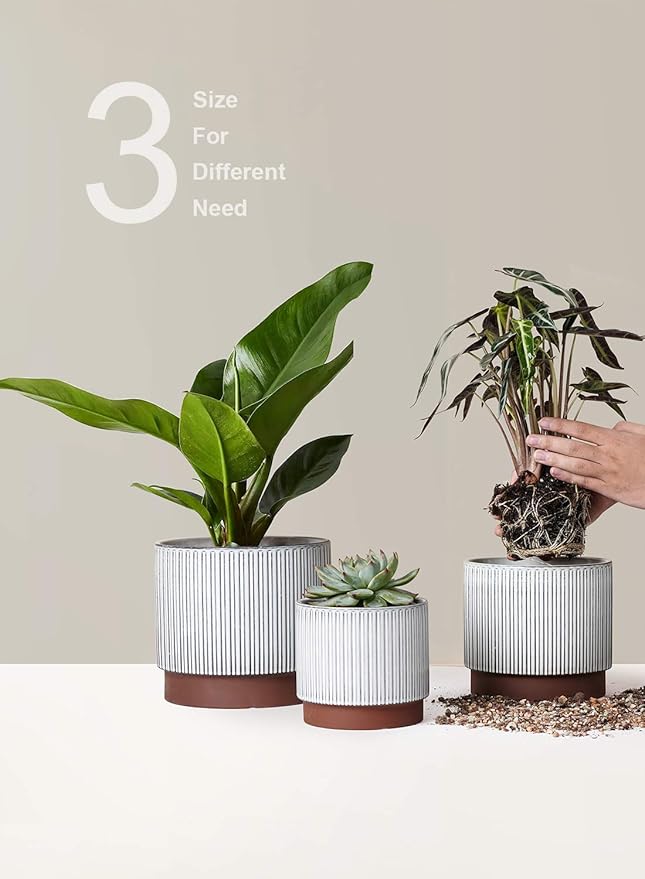 LE TAUCI Ceramic Pots for Plants, 8+6.7+5.5 Inch Plant Pots Indoor, Flower Pot with Drainage Holes, Medium Cylinder Planters for Indoor House Plants, Set of 3, Reactive Glaze White LETAUCI