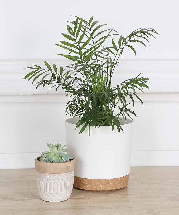 kubvici 2 Pack 8 Inch Planters for Indoor Plants, Plastic Flower Pots Plant Pots Indoor with Drainage Saucer for Outdoor Garden Home Plant, White 8” kubvici