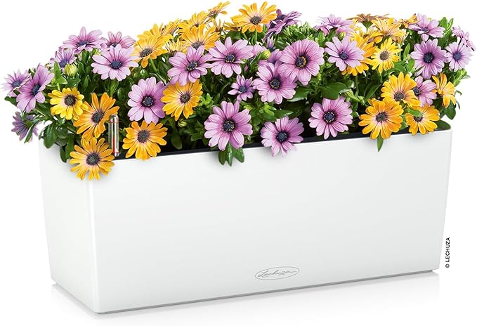 Lechuza BALCONERA Color 50 White, Self-Watering Window Box (Railing Planter), H7.5 L19.7 W7.5 in LECHUZA