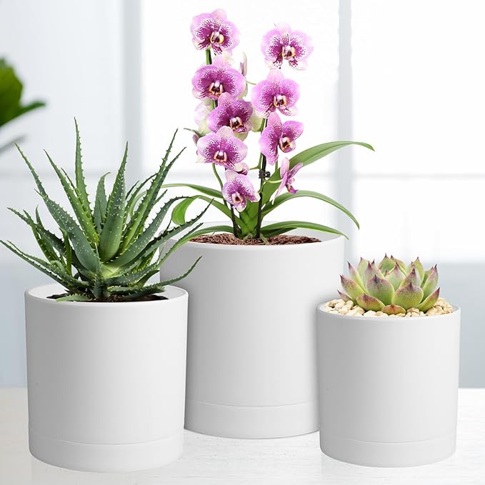 6/5/4 inch Flower Pots, Pack of 3 Cylinder Plant Pots for Small Indoor Outdoor Plants, Plastic Planters with Drainage Holes and Saucers for Garden Succulent Nursery House Plants, White Meowell
