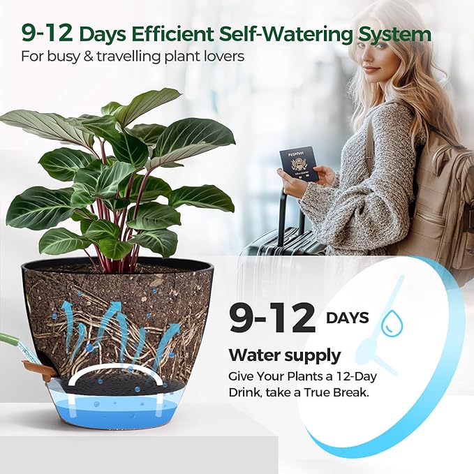 2 Pack 10 Inch Self Watering Pots - Water Level Indicator & Deep Reservoir, Mess-Free Planter for Busy People, Beginners & Gardeners, Fiddle Leaf Fig, Monstera, ZZ Plants, Indoor Outdoor Use (Black) T4U
