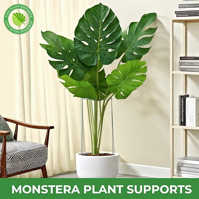 LEOBRO 24 Inch Plant Support Stakes, 6PCS Plant Stakes, Peony Cages and Supports, Garden Stakes, Plant Supports for Outdoor Plants Indoor Plants, Monstera Tomato Hydrangea Support Cage, 10" W x 24" H LEOBRO