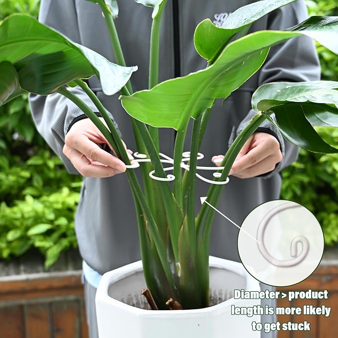 6.5 * 6.5in Monstera Plant Support Hook 5PCS - Durable Stabilizer & Leaf Holder for Indoor Plants, Flexible Installation & Soft Grip Design - Perfect for Fishbone Cactus and Other Houseplants Yohsnor