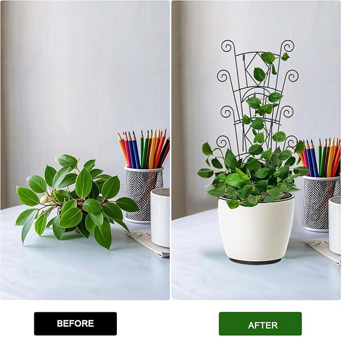 Stackable Plant Support Stakes, 2 Pack Metal Twig Plants Trellis for Indoor and Outdoor Use, Garden Accessories for House Potted Flower Monstera Trumpets 15.35 inch YHTPOUQE