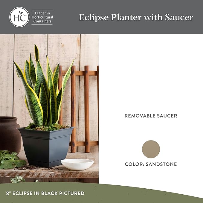 The HC Companies 6 Inch Eclipse Square Planter Pots with Drainage Holes & Attached Saucer, Lightweight UV-Resistant Plastic Indoor Outdoor Planters, 4-Pack Flower Pots for Garden Home Decor, Sandstone TheHCCompanies
