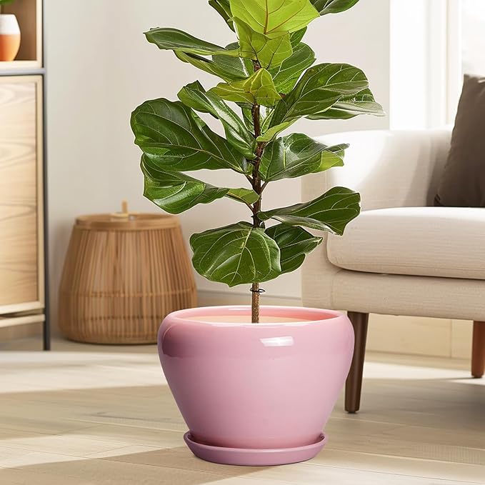 10 Inch Plant Pot - Ceramic Planter for Indoor Plants, Glaze Modern Round Planter with Drainage Hole and Saucer, Gifts for Plant Lovers, Office Patio Home Room Decor, Pink Ceramicfor