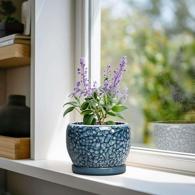 SQOWL Ceramic Pots for Plants - 6 Inch Plant Pot Indoor Outdoor, Ceramic Planter with Drainage Hole and Saucer, Decorative Round Planter, Small Flower Pot, Table Decor, Gifts for Plant Lovers, Blue SQOWL