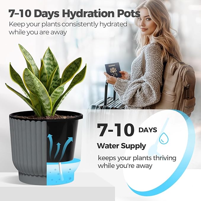 T4U 6 Inch Self Watering Pots for Indoor Plants, 6 Pack Plant Pots, Self Watering Planter for Indoor Plants, Durable Plastic Pots, Flower, Succulents (6 Pack, 6", Gray) T4U