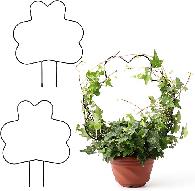 2 Pack Plant Trellis Indoor, 11.2" W x 13.7" H Small Trellis for Potted Plants, Decorative Trellis for Climbing Plants Indoor, Ideal for Vines on Tabletops, Balconies, Gardens and Lawns, Flower-Shaped FHWTY
