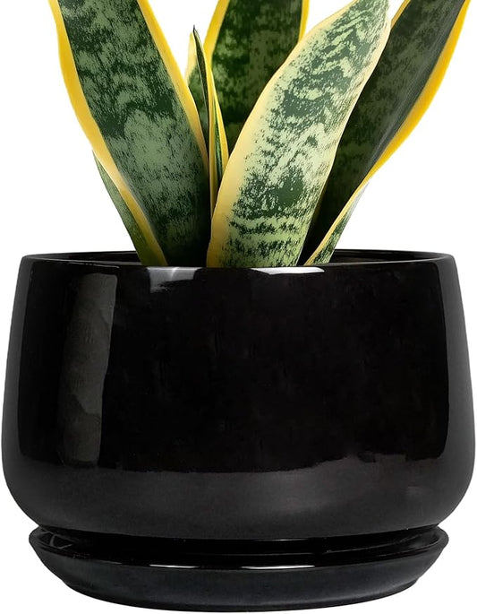 G EPGardening Ceramic Planter 7 Inch - Ceramic Pot for Plants with Drainage and Saucer, Round Plant Pots, Modern Indoor Outdoor Planter, Home Decor, Garden Gifts, Black GEPGardening