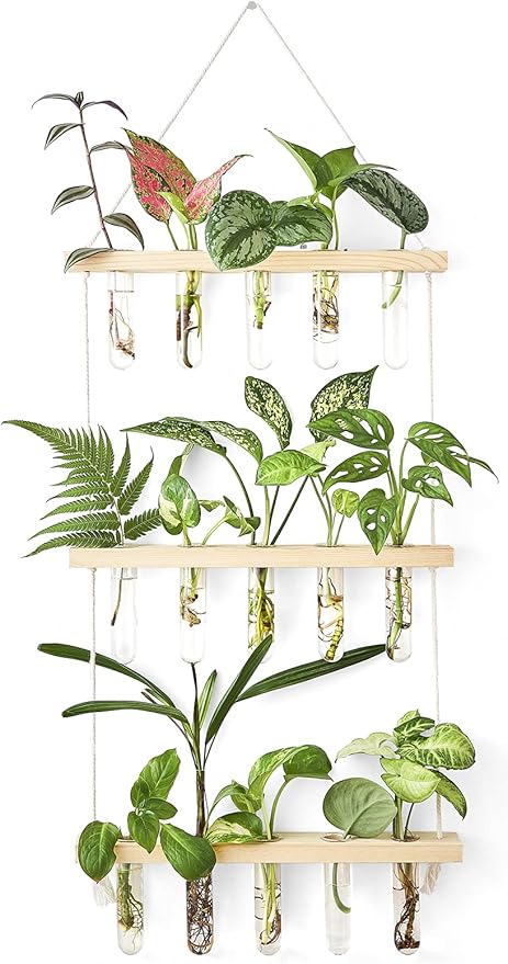 Mkono 3 Tiered Wall Hanging Plant Terrarium with Wooden Stand, Glass Planter for Hydroponic Plant Cutting, Home Garden Office Decor, Gift Mkono