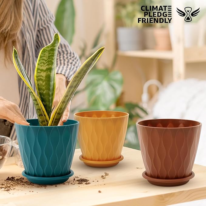 6 inch Plant Pots, 5 Pack Flower Pots Outdoor Indoor, Planters with Drainage Holes and Tray Saucers（Multicolor） AFamilyofGardenLovers