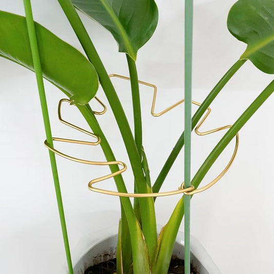 5PCS Durable Monstera Plant Stem Support Stake with Adjustable Leaf Holders - Plant Support Kit for Indoor Botanicals, Cactus Stabilizers, and Turtle Shell Climbers - Ideal for Plant Enthusiasts Yohsnor