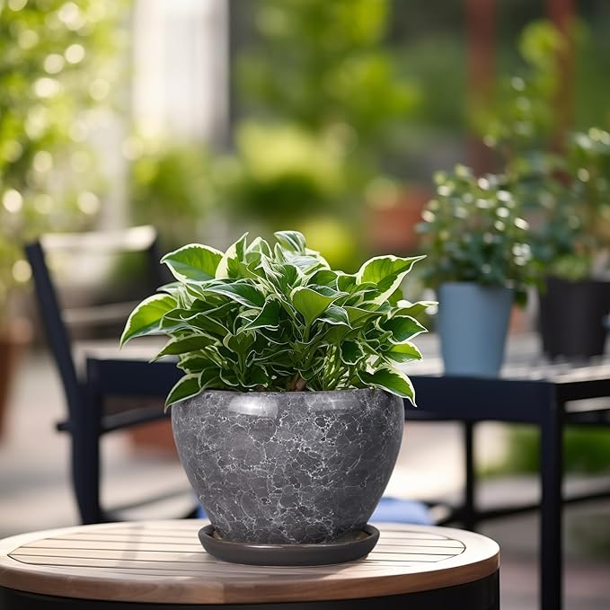 Ceramic Planter - 6 Inch Plant Pot with Drainage Hole and Saucer, Succulent Pot Glaze Round Flower Pot for Indoor Outdoor Plants, Gray Ceramicfor