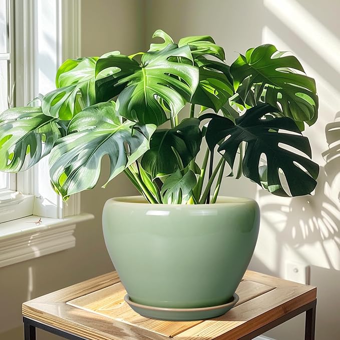 Ceramic Planter Pot - 10 Inch Plant Pot for Indoor Plants Decorative Planter with Drainage Hole and Saucer Large Pot for Plants Outdoor Round Flower Pot for Garden Green Ceramicfor