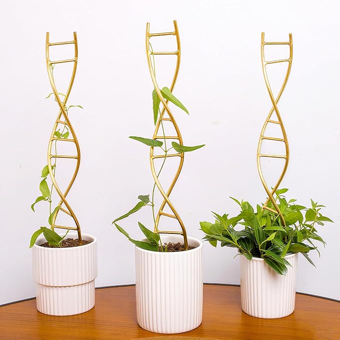 Indoor Plant Trellis for Potted Plants - Durable Metal Climbing Trellis with Unique DNA Spiral Design for Vining Plants, Easy Installation for Indoor & Outdoor Use Goooxim