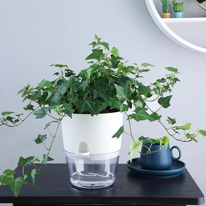 6Inch Self Watering Planter Pots 4 Pack Plant Pot for Indoor Wicking Flower Pots Plant Pots Modern Decorative Planter for Small African Violets House Plants,Herbs,Indoor Outdoor Plant (White) Thorkok