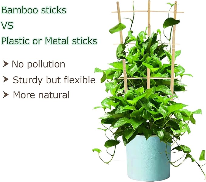 Plant Trellis Indoor, 3 Pack Bamboo Trellises, 16in Fan-Shaped Trellis for Potted Plants Climbing Plants Hoya Vine Ivy Cambaverd